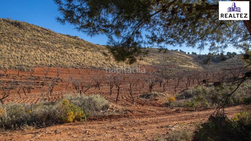 Foto 1cc01aef-303e-4a3e-8c48-2a8b697be74f. Finca rústica terreno en venta con almendros ecológicos en plena producción en Alcolea