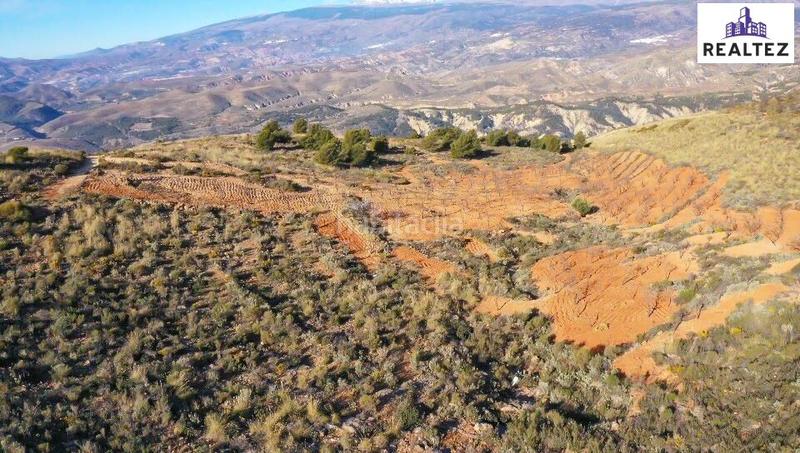 Foto 3d5fef63-a745-4d7e-b9a8-4a861119ee26. Finca rústica terreno en venta con almendros ecológicos en plena producción en Alcolea