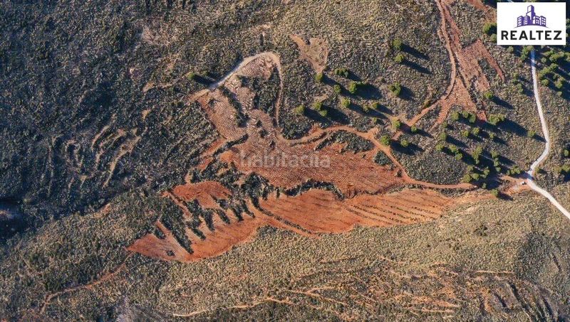 Foto 508e6f7a-eed0-4aef-9e8d-61b8d4b453b8. Finca rústica a Alcolea
