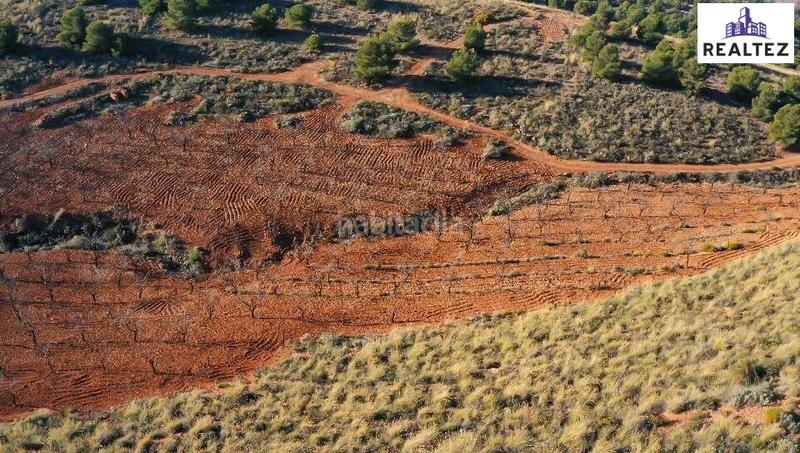 Foto 86b9484a-a20c-4faf-8cee-99a09c3df2b8. Finca rústica terreno en venta con almendros ecológicos en plena producción en Alcolea