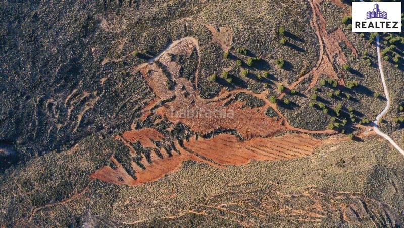 Foto 9addd76b-5b3b-4115-b1c8-0d147554ba2f. Finca rústica terreno en venta con almendros ecológicos en plena producción en Alcolea