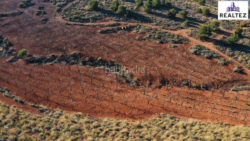 Foto b8b02dbc-7656-44af-934c-c3ec34355d1a. Finca rústica terreno en venta con almendros ecológicos en plena producción en Alcolea