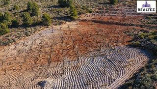 Finca r�stica en Alcolea. Terreno en alcolea con almendros  de 17.000 metros cuadrados