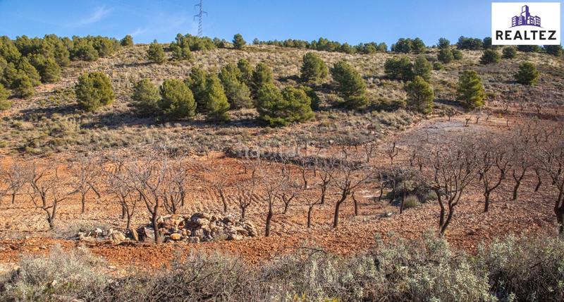 Foto 399f7a92-3998-40d2-98fe-c61b04d31c0e. Finca rústica terreno con almendros de 17.000 metros cuadrados en Alcolea