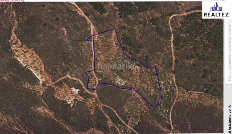Foto 7de21252-b166-41be-a84c-d8df429ef03b. Rural plot in Alcolea