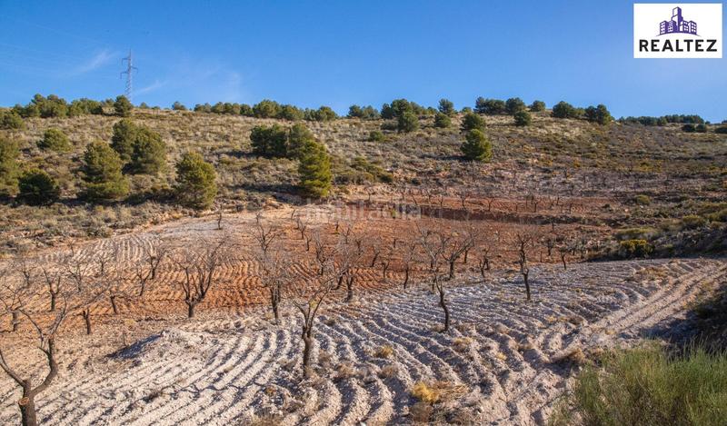 Foto 88a1b1fc-7ad6-45e5-9202-c68b8c387496. Finca rústica terreno con almendros de 17.000 metros cuadrados en Alcolea