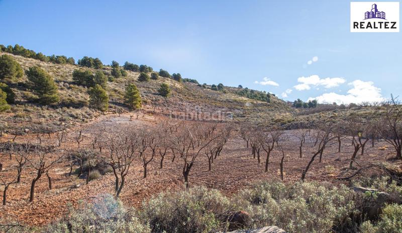 Foto 9ea0049d-45f9-4104-a40f-04734e496d81. Finca rústica terreno con almendros de 17.000 metros cuadrados en Alcolea