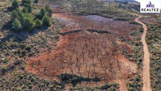 Finca rústica a Alcolea. Terreno en alcolea con almendros  de 17.000 metros cuadrados