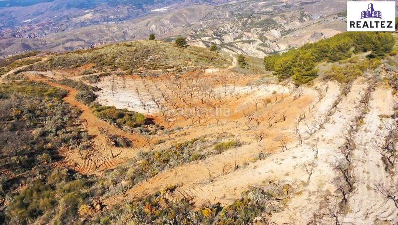 Foto e4bcfa41-f606-47ce-8b25-069b8772a869. Finca rústica terreno con almendros de 17.000 metros cuadrados en Alcolea