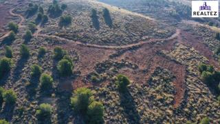 Propriété à Alcolea. Terreno en venta en alcolea con produccion de almendros ecologic