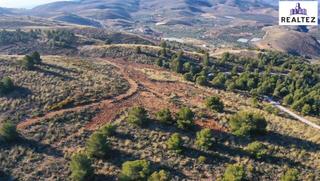 Finca rústica a Alcolea. Terreno en venta en alcolea con produccion de almendros ecologic