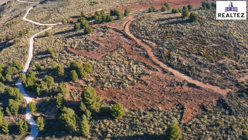 Foto aa7f6b5a-d1b3-47c2-beb0-d04370a02b9d. Finca rústica a Alcolea