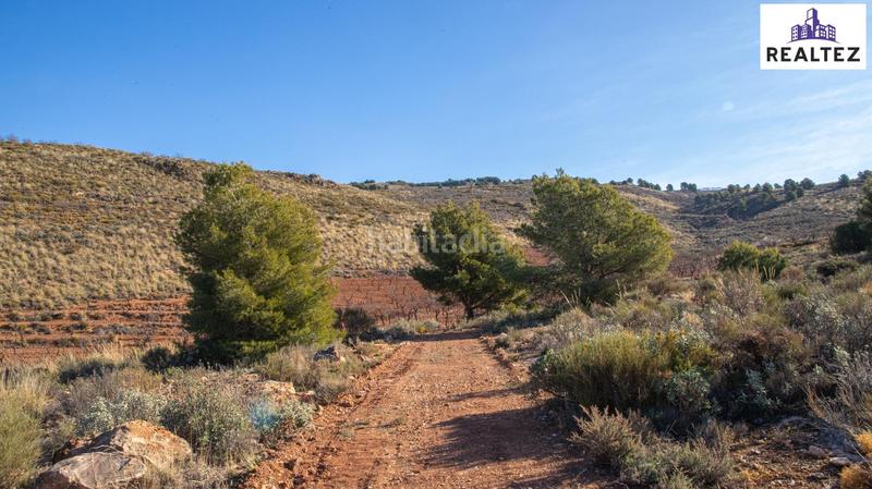 Foto f9d1e91e-e572-4590-a266-8b116d72883d. Fondo rustico in Alcolea