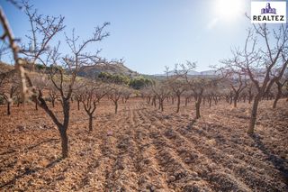 Finca rústica a Alcolea