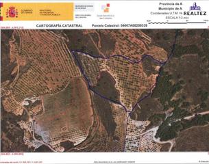Finca rústica en Láujar de Andarax. Finca en venta sita en alcolea con almendros ecológicos en plena