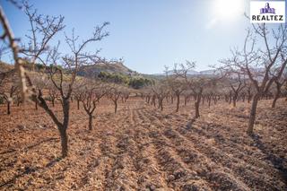Finca rústica a Láujar de Andarax. Finca en venta sita en alcolea con almendros ecológicos en plena