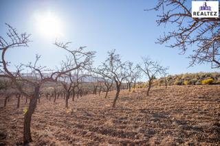 Fondo rustico in Láujar de Andarax. Finca en venta sita en alcolea con almendros ecológicos en plena