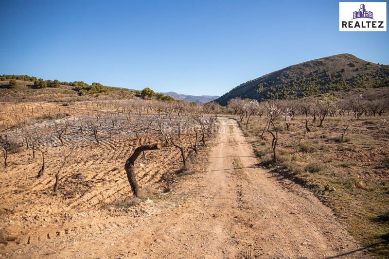 Foto 0a706115-9656-4537-b945-d423008a46e8. Finca rústica a Alcolea
