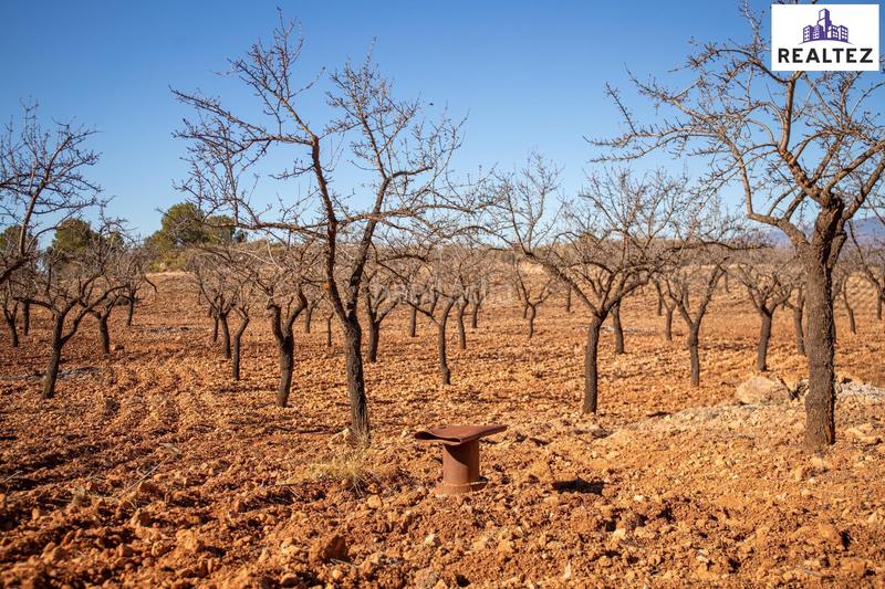 Foto 47971024-122b-43e7-85a1-46d27e87b193. Finca rústica a Alcolea