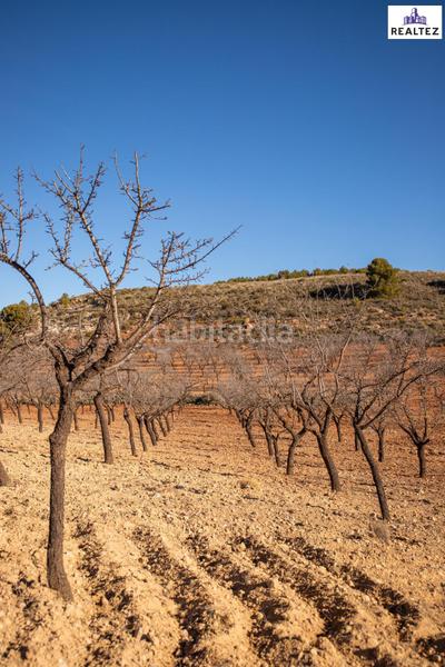 Foto 5a1fcd91-7c83-4950-a76b-19efe2350dc6. Finca rústica a Alcolea