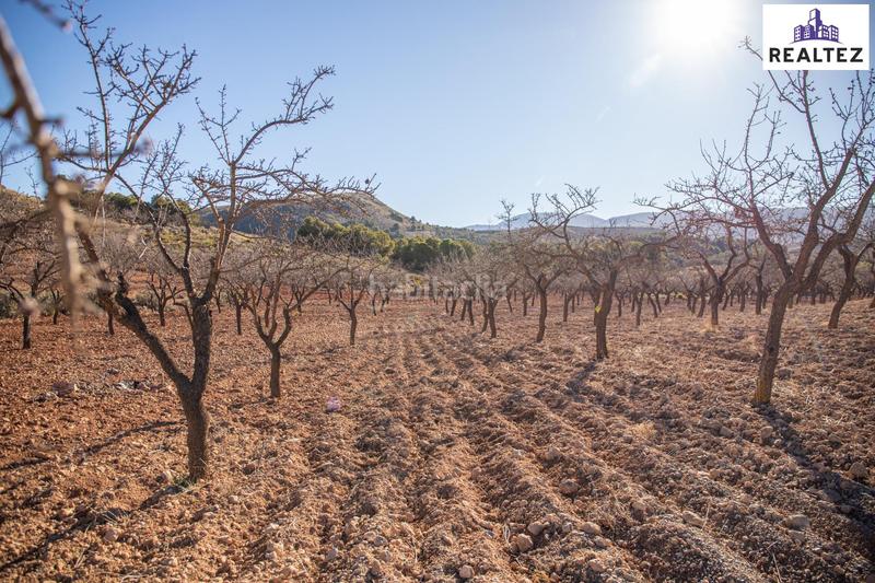 Foto 6e205f8d-1cf3-4b42-ba28-5be661c45d55. Finca rústica a Alcolea