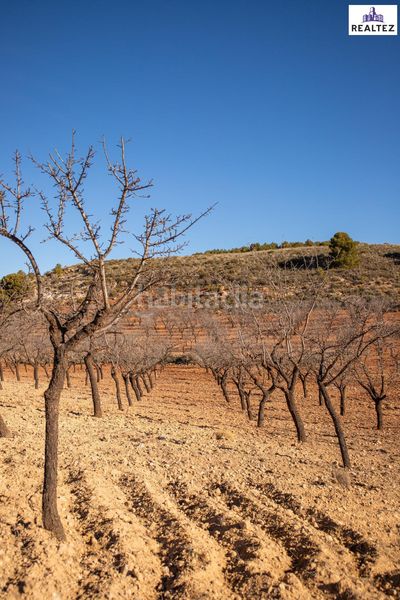 Foto 7a4ebf1d-17fc-47a0-bb2f-4fdb819498be. Finca rústica a Alcolea
