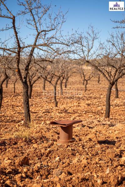 Foto 98f645f1-32c3-4fe4-88ef-c84e0d28d88c. Finca rústica a Alcolea