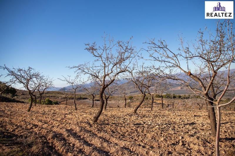 Foto ae2210aa-28a5-49bf-8c6e-42275983bdf2. Finca rústica a Alcolea