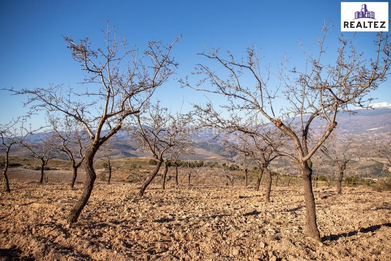 Foto b3f42ad1-65ca-4c96-a2e7-8006633d0302. Finca rústica a Alcolea