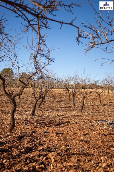 Foto c5efad85-483a-432a-88d8-26d43130fa8f. Finca rústica a Alcolea