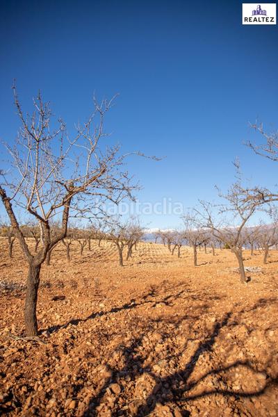 Foto d2c1964d-343c-46be-9820-db9c57b5eedc. Finca rústica a Alcolea