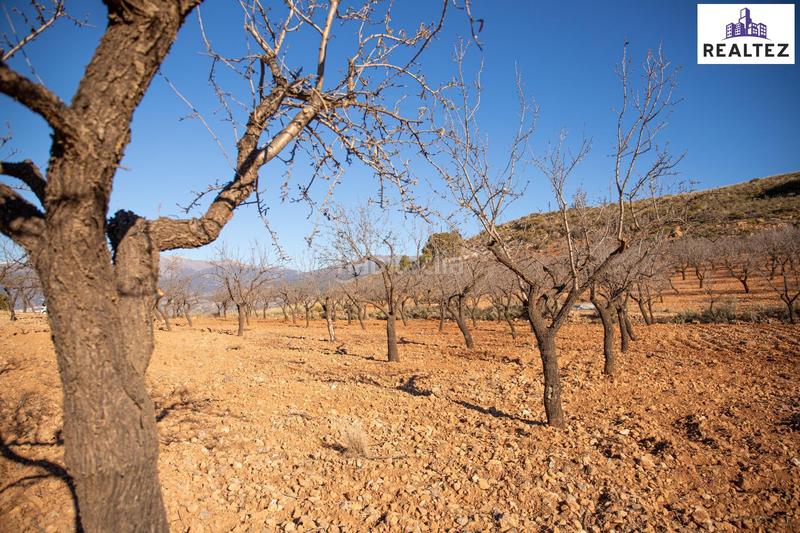Foto e0eaecc3-cd54-4c64-b03a-d8aa549772ea. Finca rústica a Alcolea