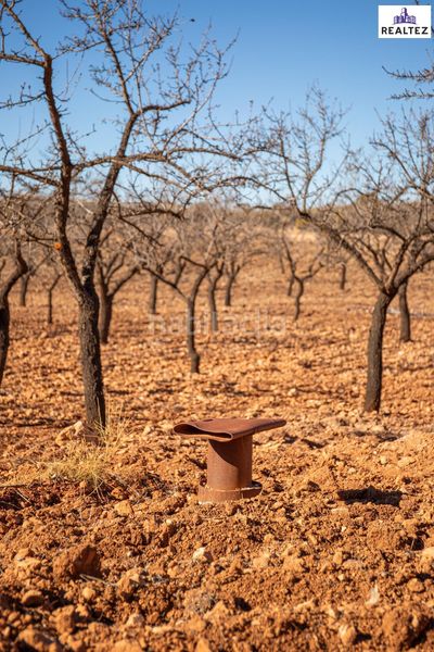 Foto f6708bfe-20f7-4fa3-830b-75f4d76df211. Finca rústica a Alcolea