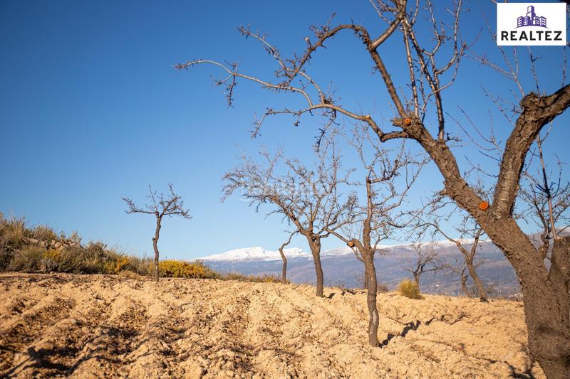 Foto f96006b6-4ae4-427c-a266-b2cac0a33e00. Finca rústica a Alcolea