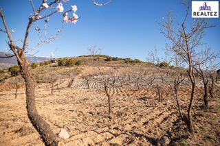 Fondo rustico in Láujar de Andarax. Finca rústica en alcolea con almendros ecológicos en plena produ