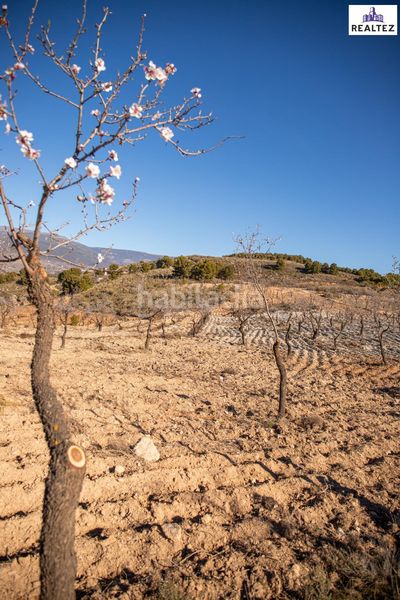 Foto 46bb1837-1ac5-4083-b358-510e4c4e0d72. Finca rústica a Láujar de Andarax