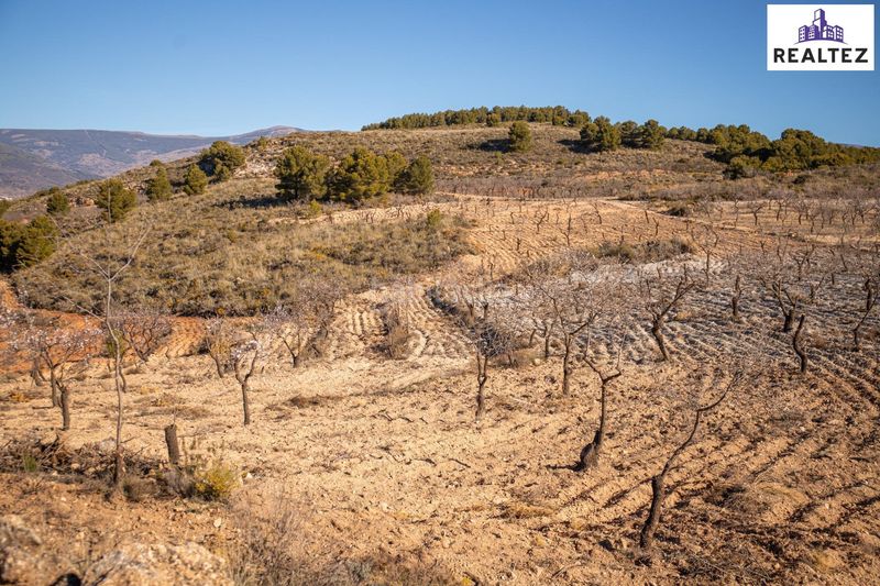 Foto e72b3b84-8de5-4be7-9388-3ad1cc2e7791. Finca rústica a Láujar de Andarax