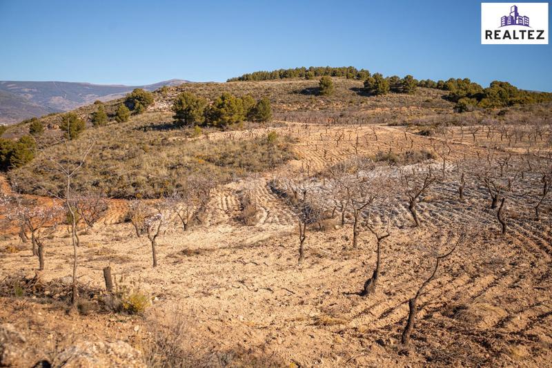 Foto 1e913511-3908-4ce5-8d79-a4c8518c9bcd. Finca rústica finca rustica en venta sita en alcolea con almendros ecológicos en plena producción en Láujar de Andarax