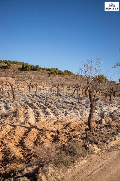 Foto 26dcca95-a883-42ca-843a-7916eb3c92fe. Finca rústica finca rustica en venta sita en alcolea con almendros ecológicos en plena producción en Láujar de Andarax