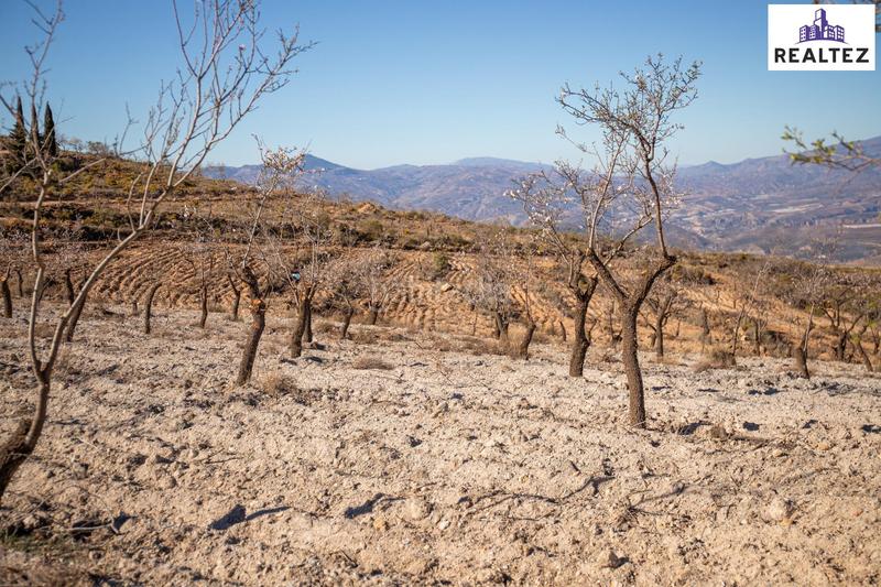 Foto 2b68d314-7efc-4c49-b704-d688daa89865. Finca rústica finca rustica en venta sita en alcolea con almendros ecológicos en plena producción en Láujar de Andarax
