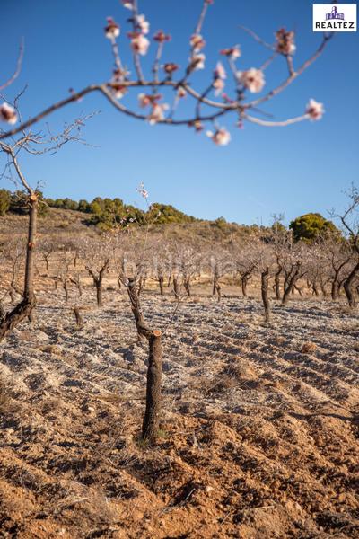 Foto 980f9cee-c4e7-4ad5-8801-040f5d5ee983. Finca rústica finca rustica en venta sita en alcolea con almendros ecológicos en plena producción en Láujar de Andarax