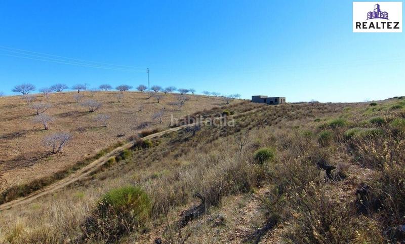 Foto 1902eecf-431e-41d9-bc2e-800387665489. Mas dans Murtas