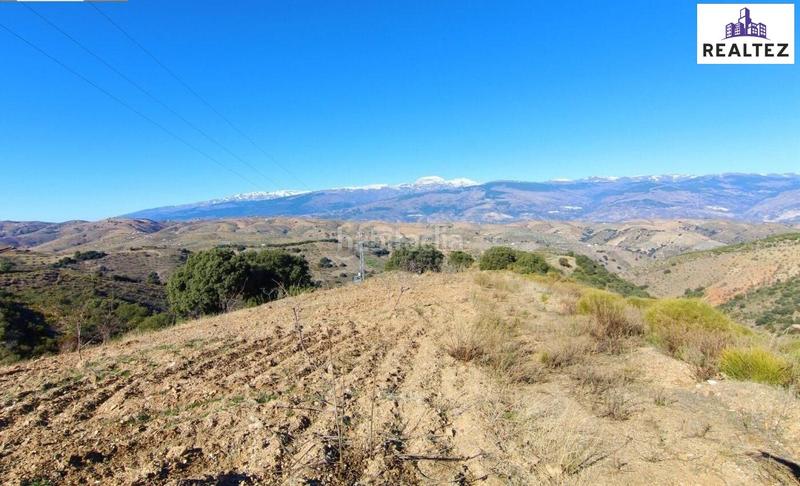 Foto 473713da-6f81-40c7-bc3a-f6c7368a3f50. Mas dans Murtas