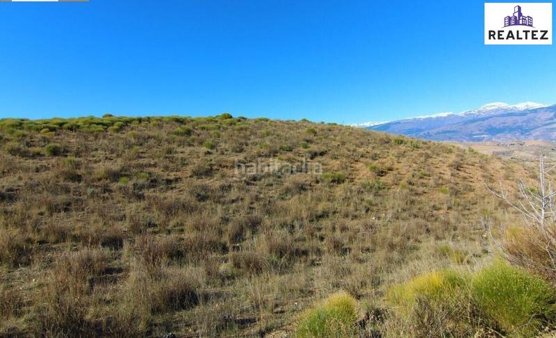 Foto 6b53dbe9-f1e2-4008-9ee0-b700785821c2. Mas dans Murtas