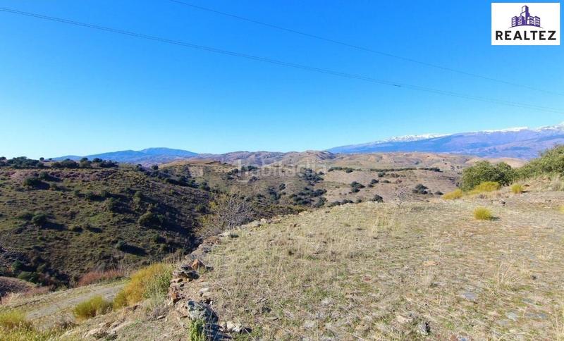 Foto a6f04d38-c80d-4693-a4f5-b8badb0cc071. Mas dans Murtas