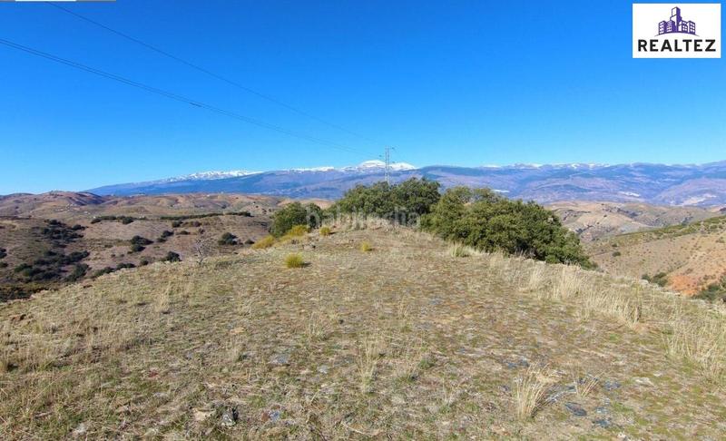 Foto b19db332-53ac-41de-83aa-6ff05fdd7e21. Mas dans Murtas