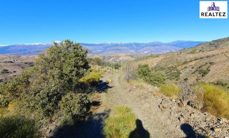 Foto b539dd1c-ac57-410c-ac59-15bbb313f042. Mas dans Murtas