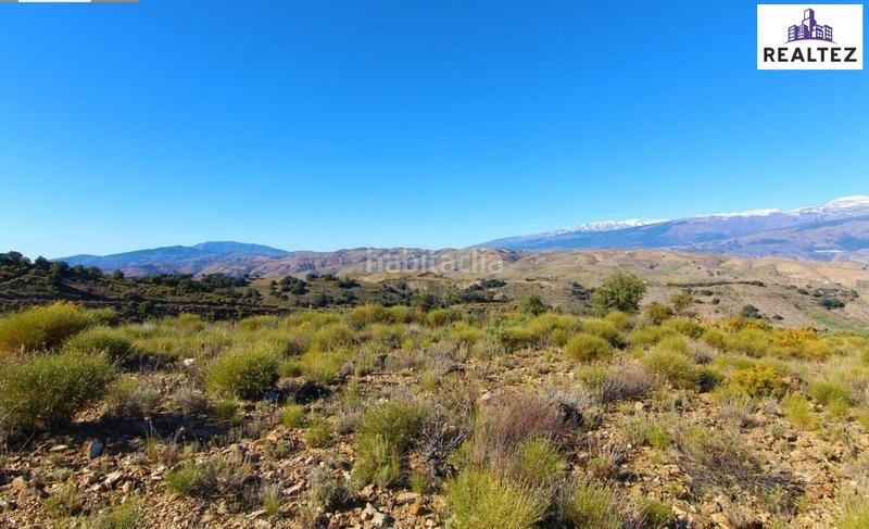 Foto d0bf3000-b2a5-4413-93d6-329f7fd3956f. Mas dans Murtas