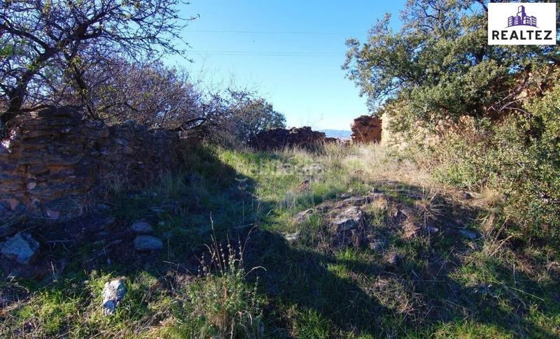 Foto db38f1ad-856a-4733-b4a2-8cf4c63cc9a2. Mas dans Murtas