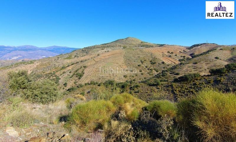 Foto e05c4a71-9b89-4dd6-9da0-425057abfa48. Mas dans Murtas